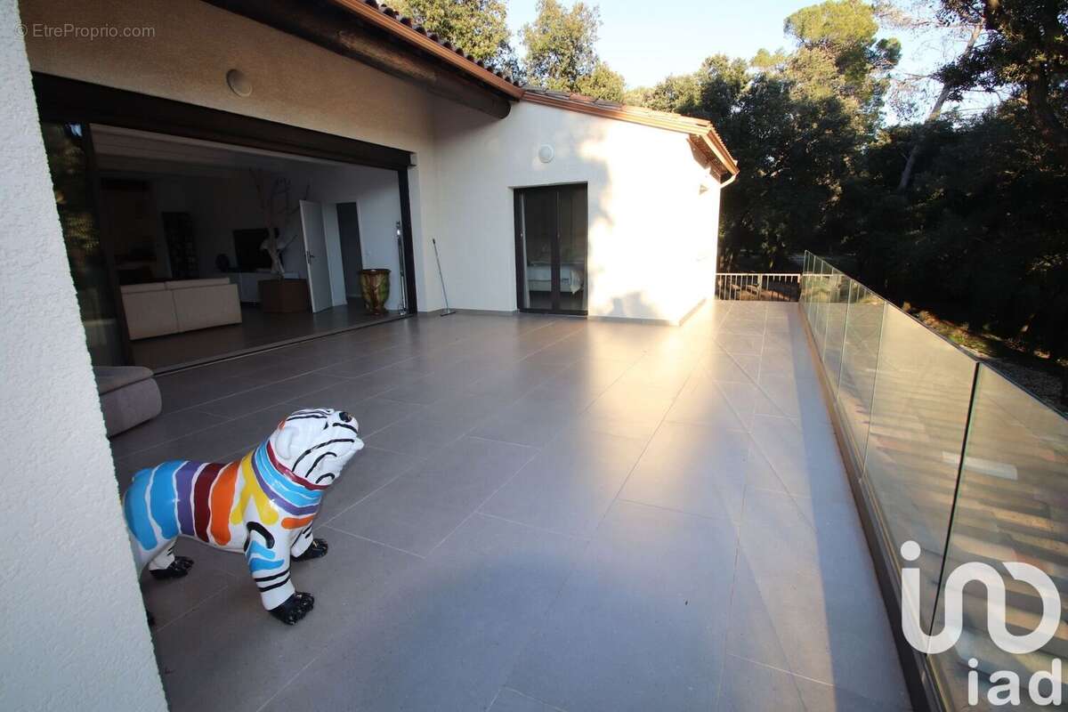 Photo 9 - Maison à SAINT-MATHIEU-DE-TREVIERS