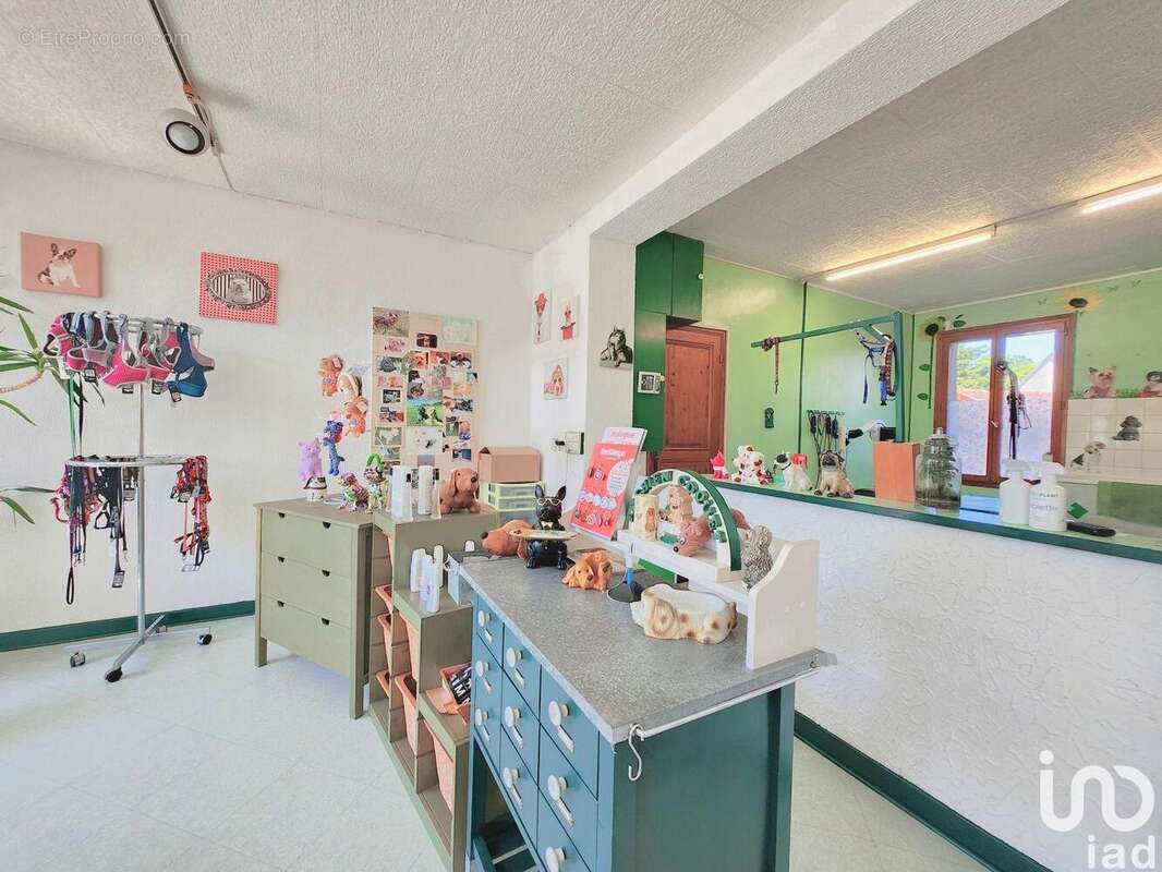 Photo 3 - Commerce à CONFLANS-SAINTE-HONORINE