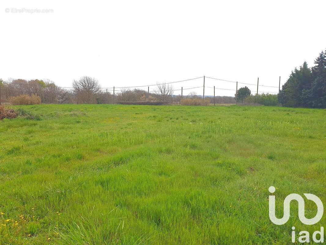 Photo 4 - Terrain à MANOSQUE