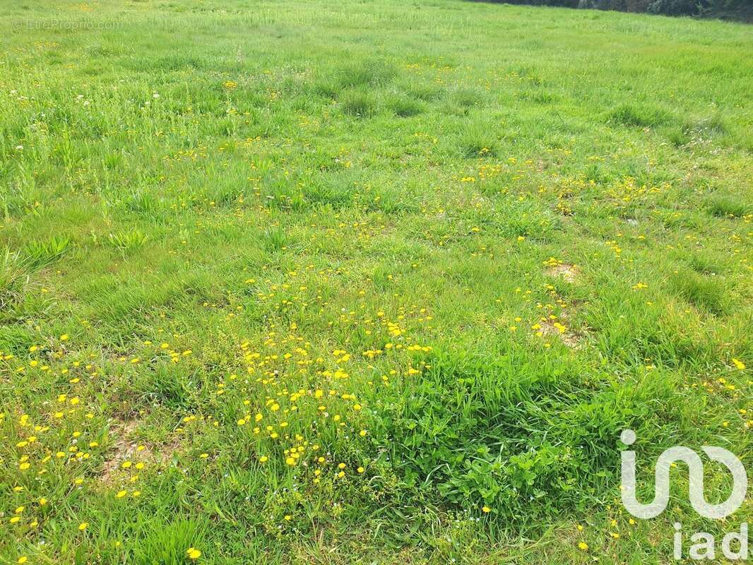 Photo 5 - Terrain à MANOSQUE