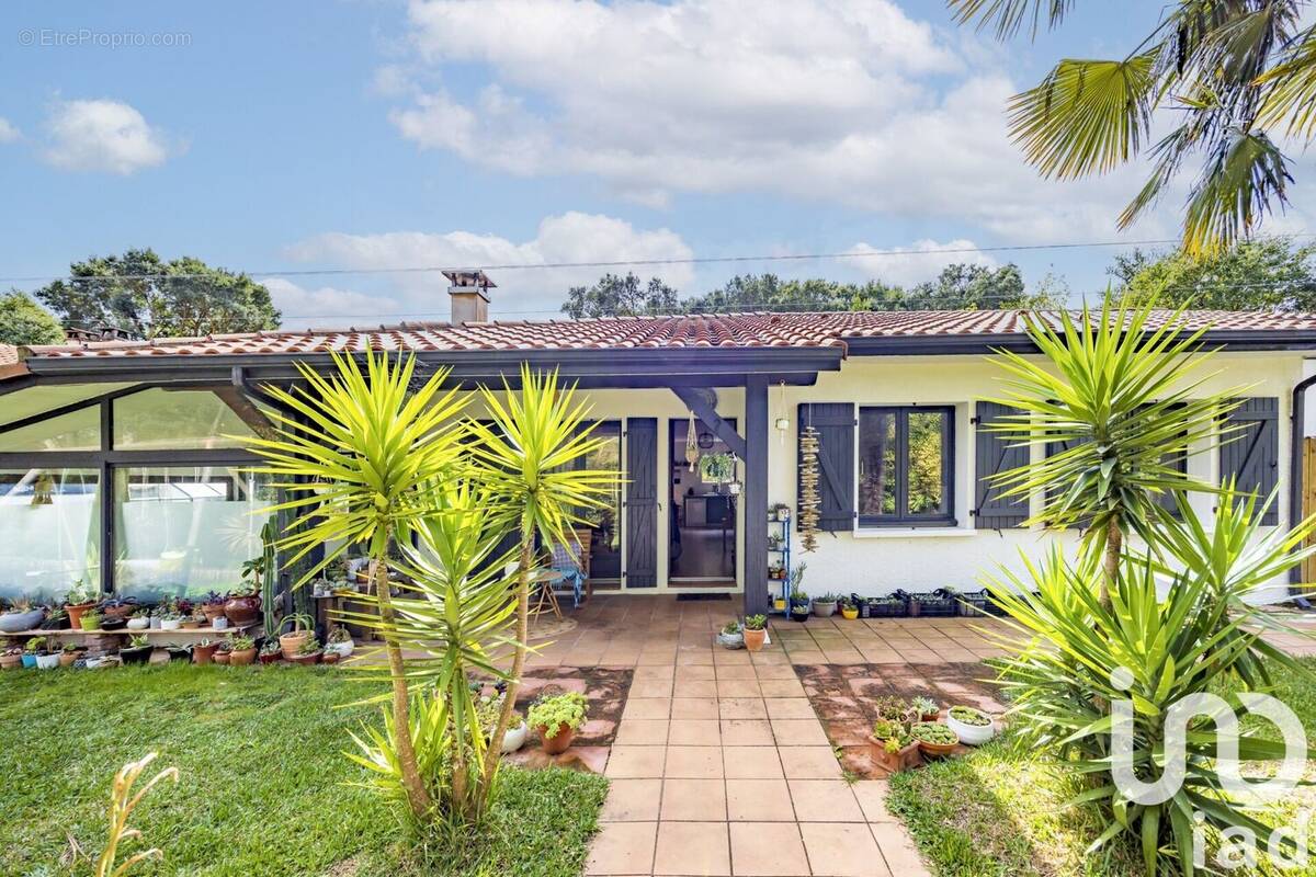 Photo 1 - Maison à TARNOS