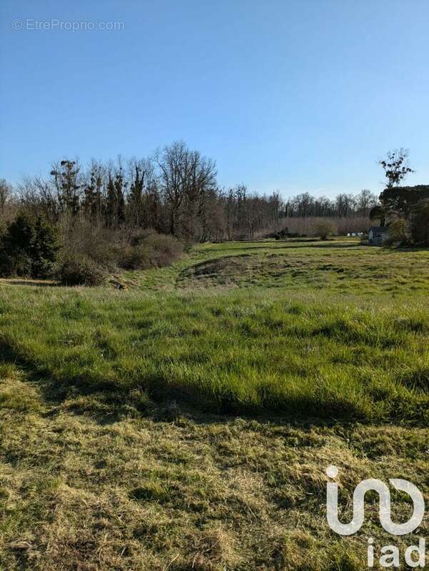 Photo 3 - Maison à ILLATS