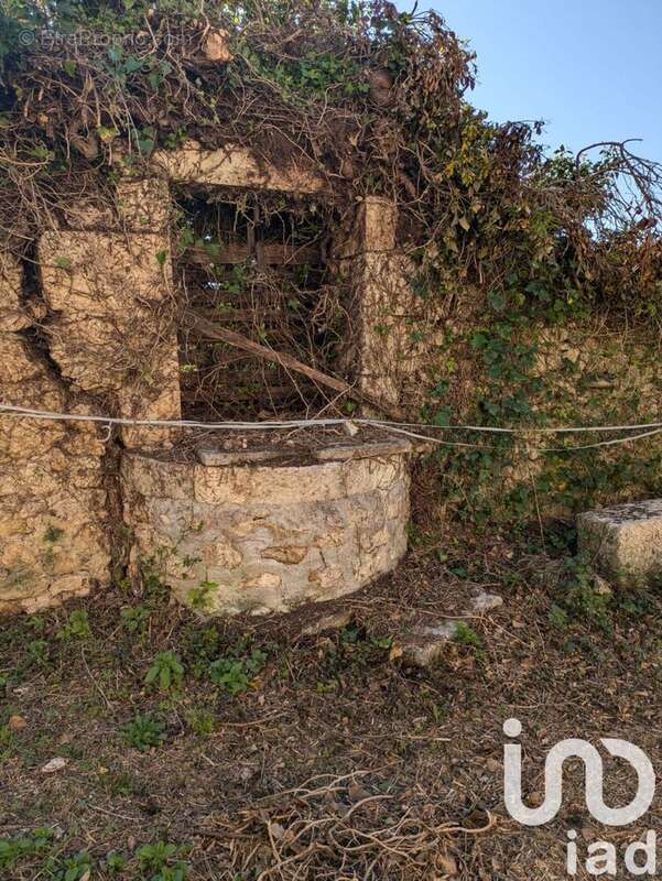 Photo 5 - Maison à ILLATS