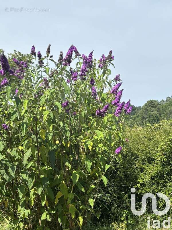 Photo 4 - Maison à SIORAC-DE-RIBERAC