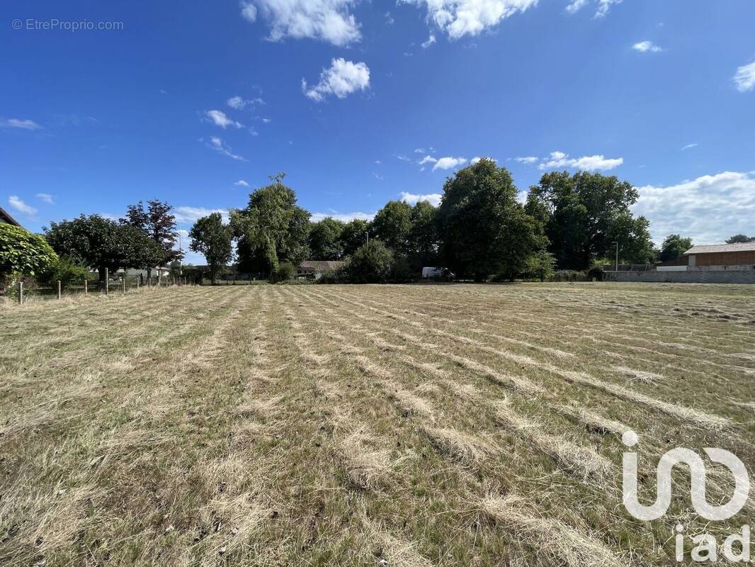Photo 1 - Terrain à SAUGNACQ-ET-MURET