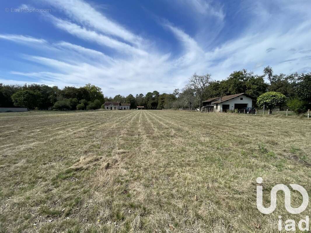 Photo 2 - Terrain à SAUGNACQ-ET-MURET