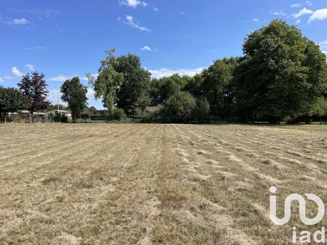 Photo 3 - Terrain à SAUGNACQ-ET-MURET