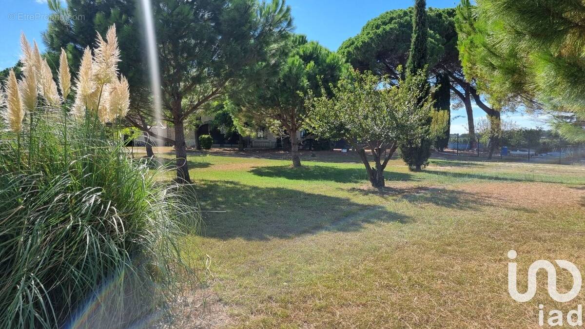 Photo 1 - Maison à TOURBES