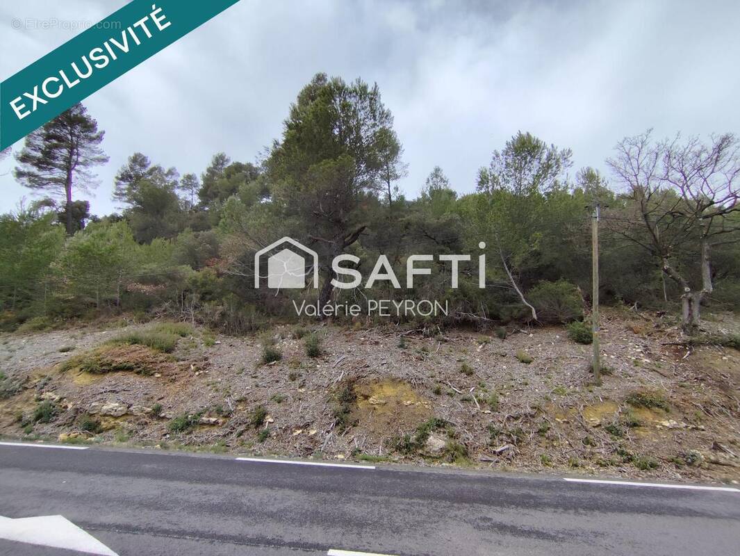 Photo 1 - Terrain à MIRABEAU