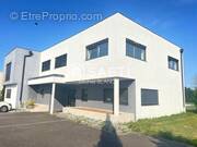 Photo 1 - Appartement à WETTOLSHEIM