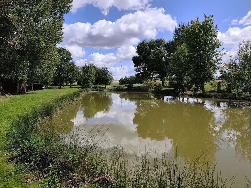 Photo 5 - Terrain à SAINT-GENOU