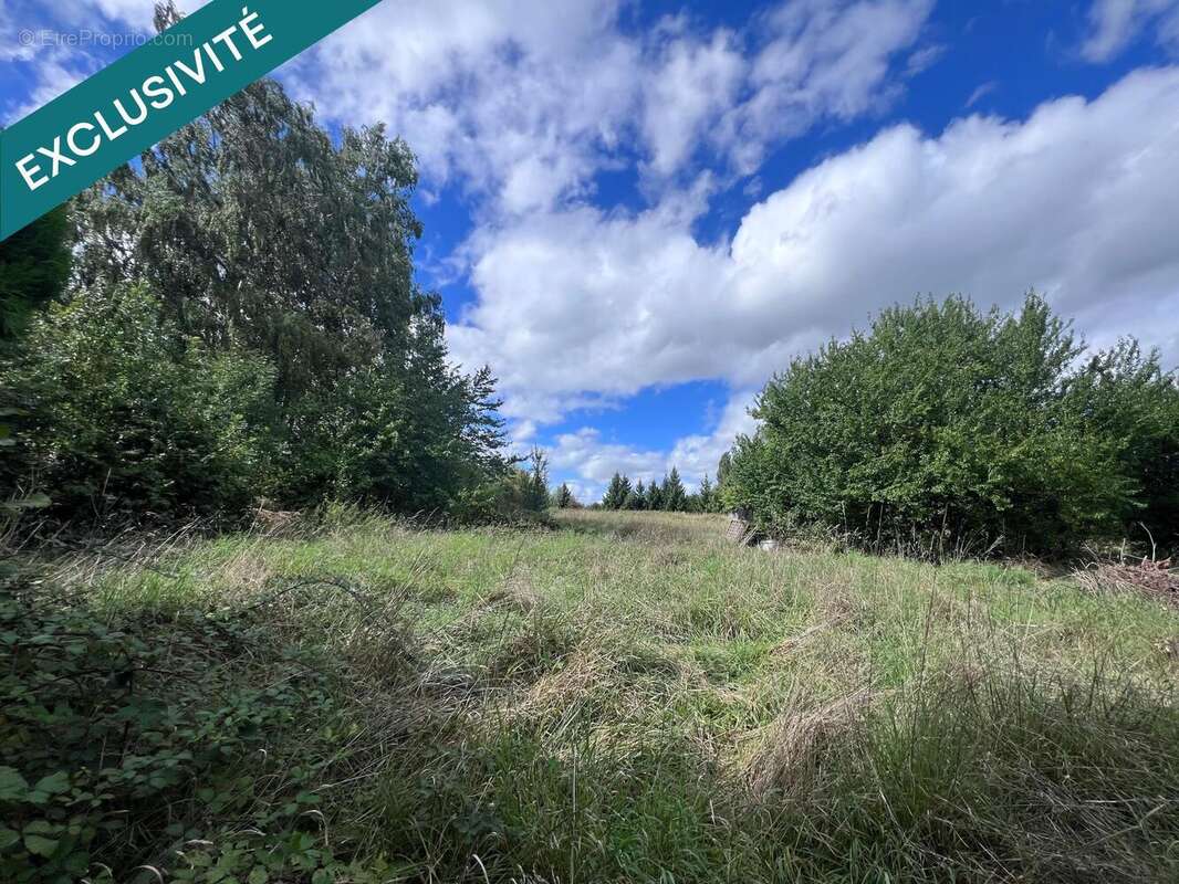 Photo 2 - Maison à PUTTELANGE-AUX-LACS