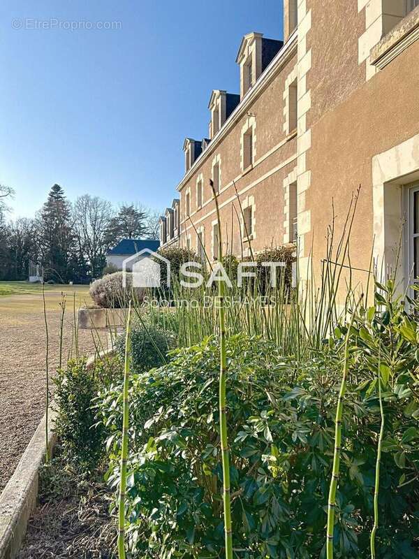 Photo 8 - Appartement à SAVONNIERES