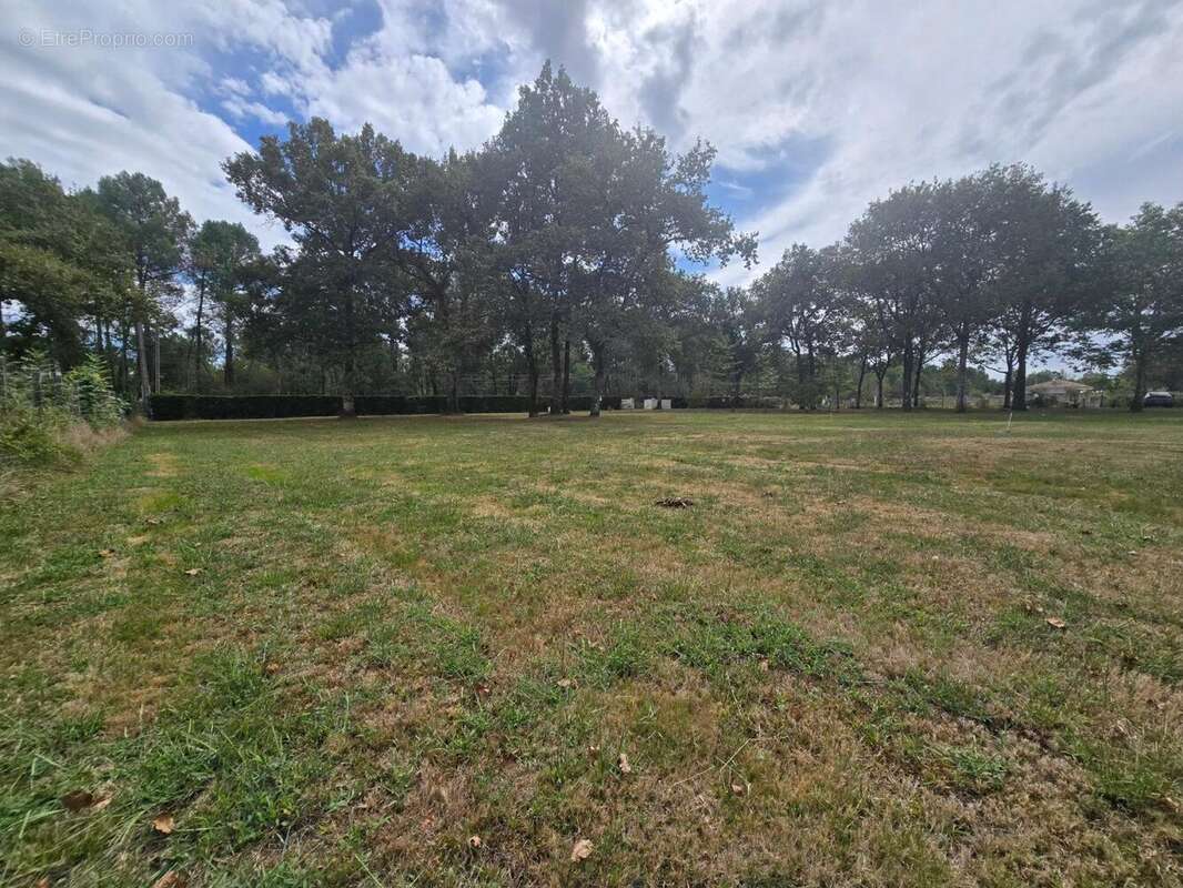 Photo 2 - Terrain à SAINT-JEAN-D&#039;ILLAC