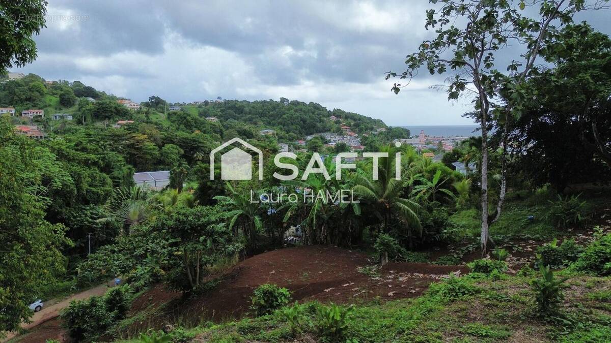 Photo 1 - Terrain à LA TRINITE