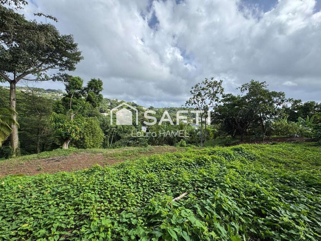 Photo 2 - Terrain à LA TRINITE