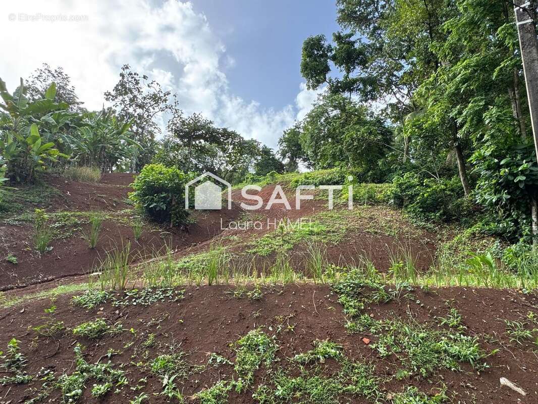 Photo 3 - Terrain à LA TRINITE