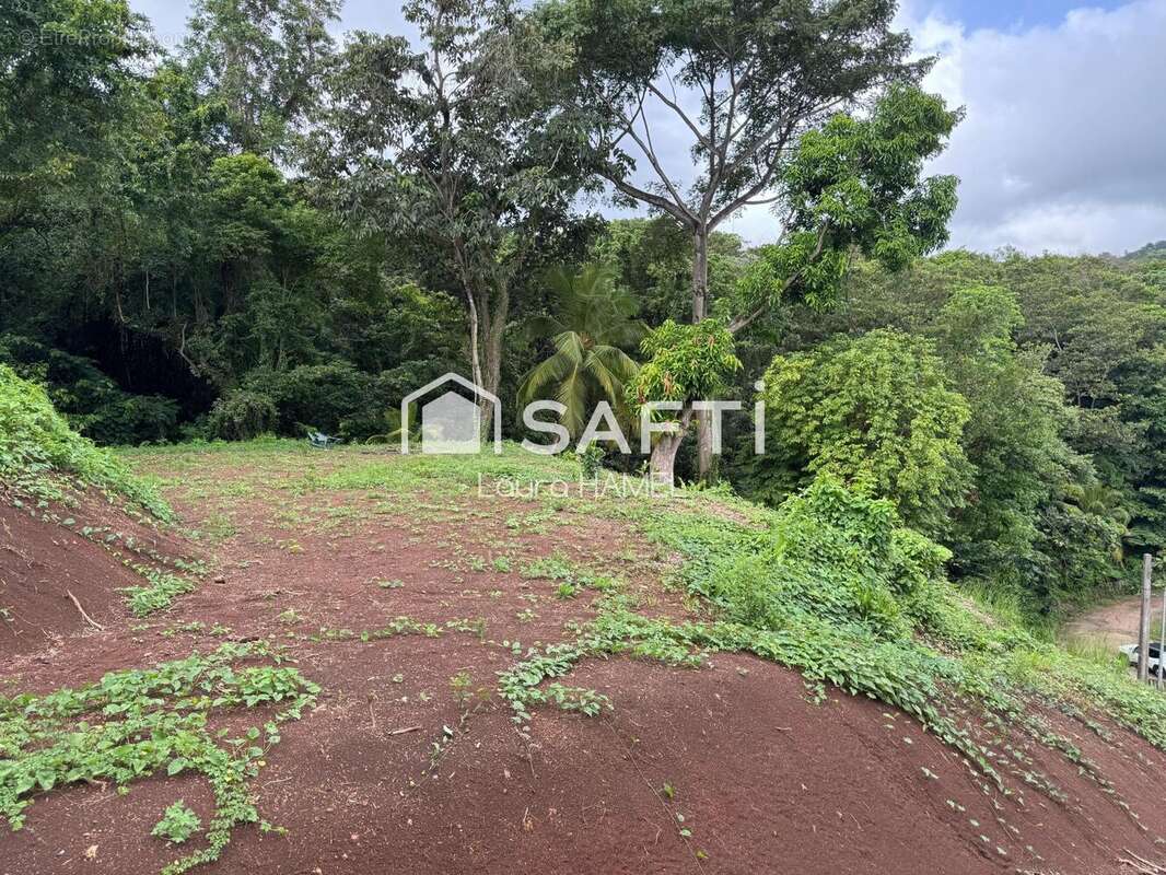 Photo 4 - Terrain à LA TRINITE