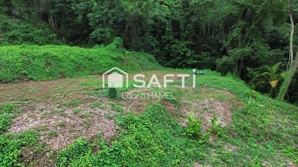 Photo 5 - Terrain à LA TRINITE