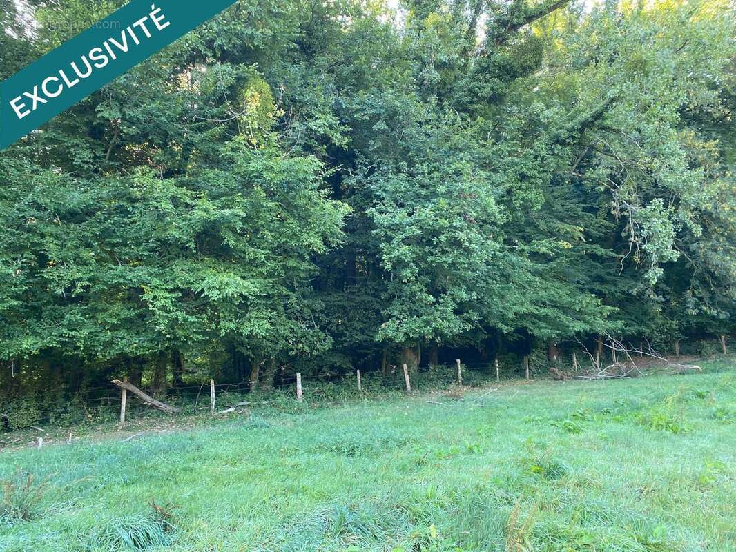 Photo 2 - Terrain à BERTHECOURT