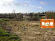 Photo 1 - Terrain à BRION