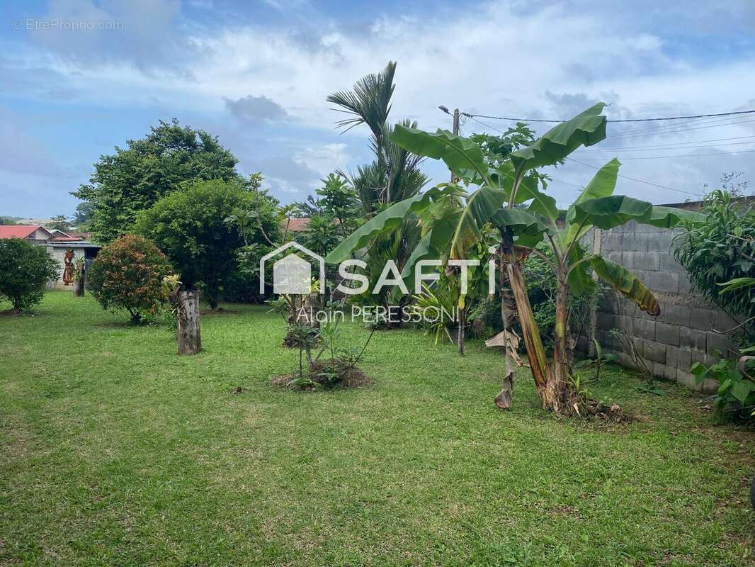 Photo 9 - Maison à MATOURY