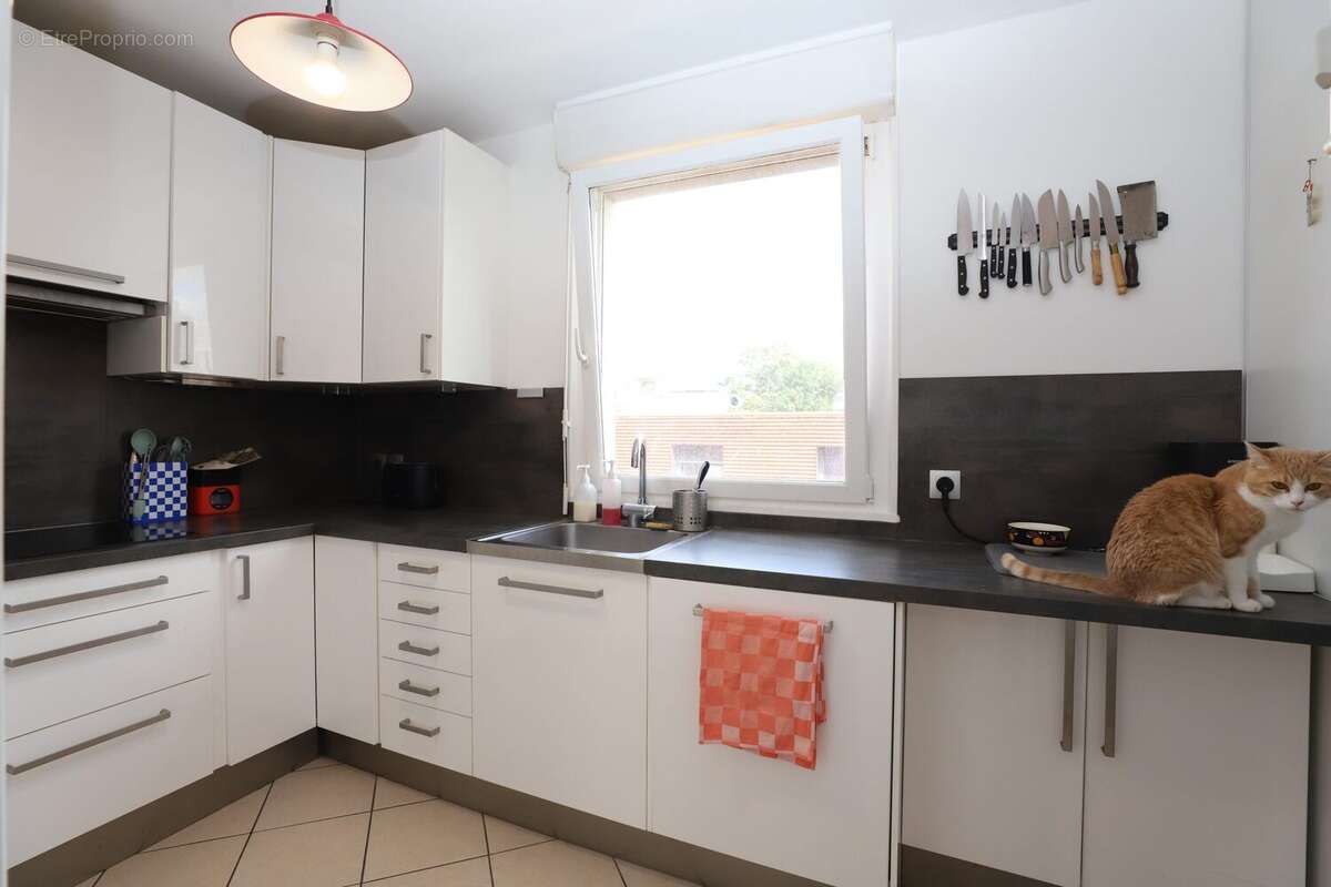 Appartement à MONTREUIL