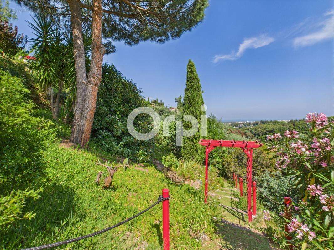 Maison à MANDELIEU-LA-NAPOULE