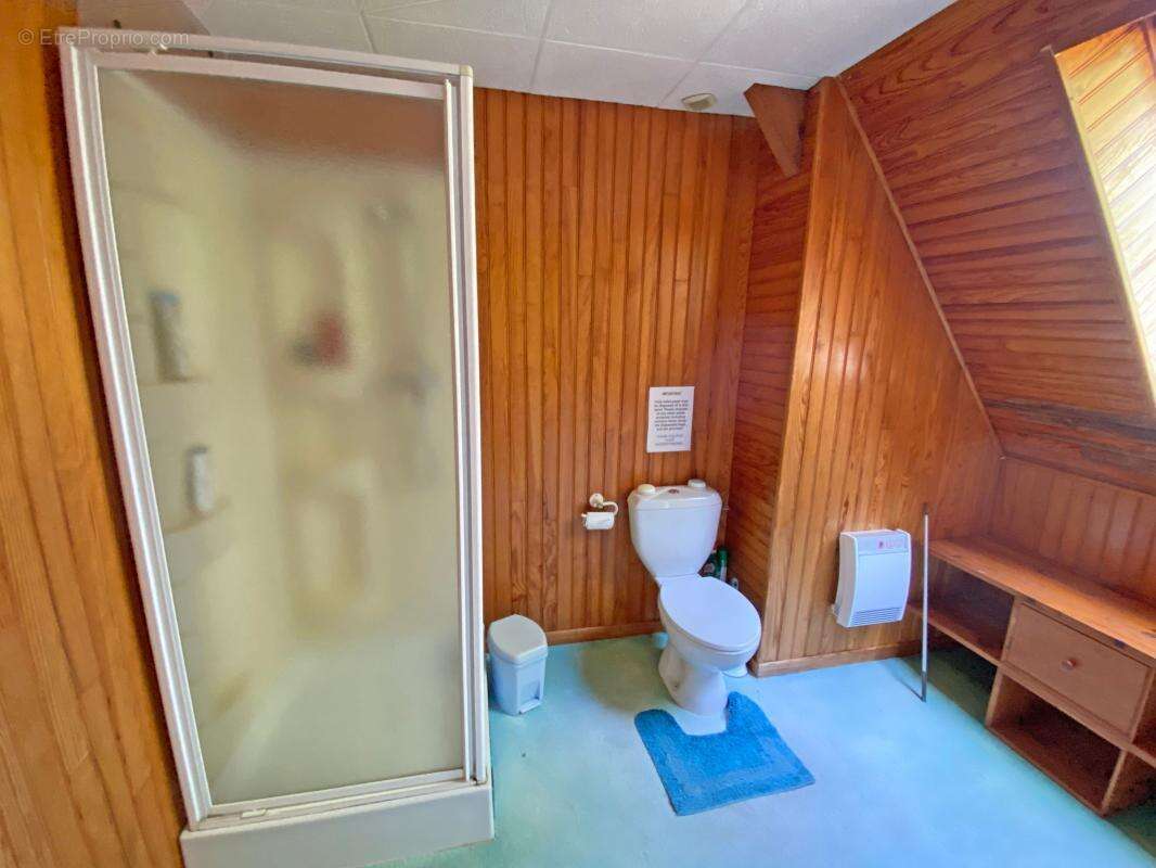 Maison à LE BUISSON-DE-CADOUIN