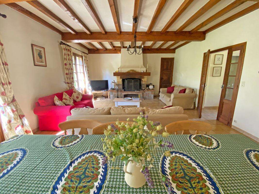 Maison à LE BUISSON-DE-CADOUIN