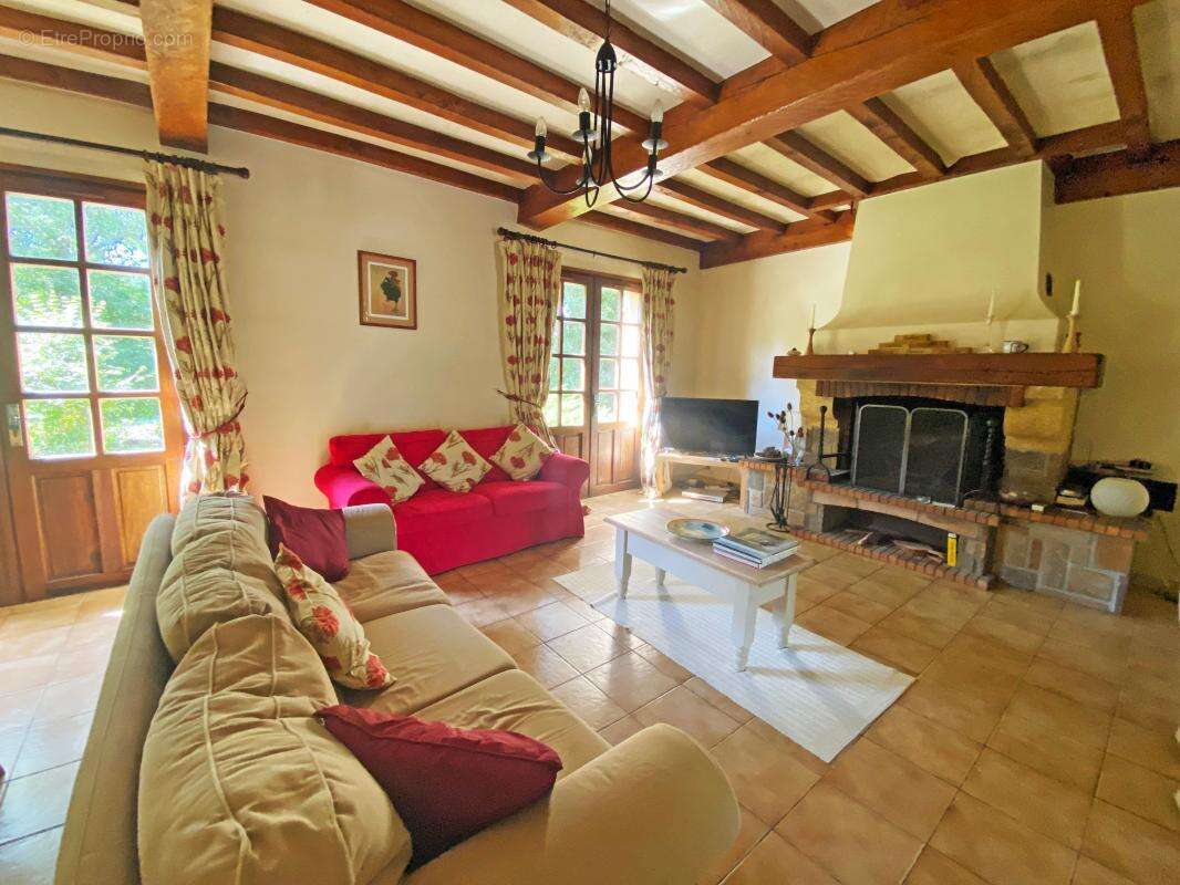 Maison à LE BUISSON-DE-CADOUIN