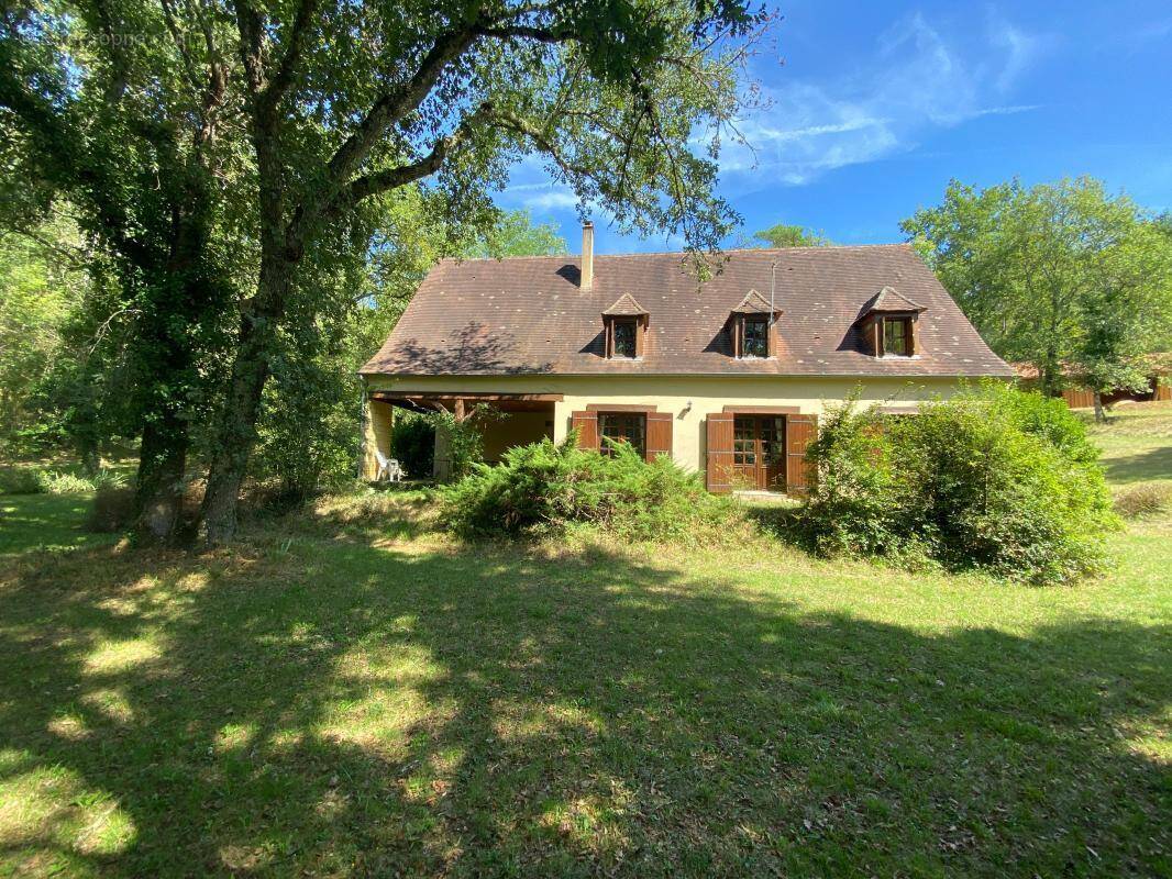 Maison à LE BUISSON-DE-CADOUIN