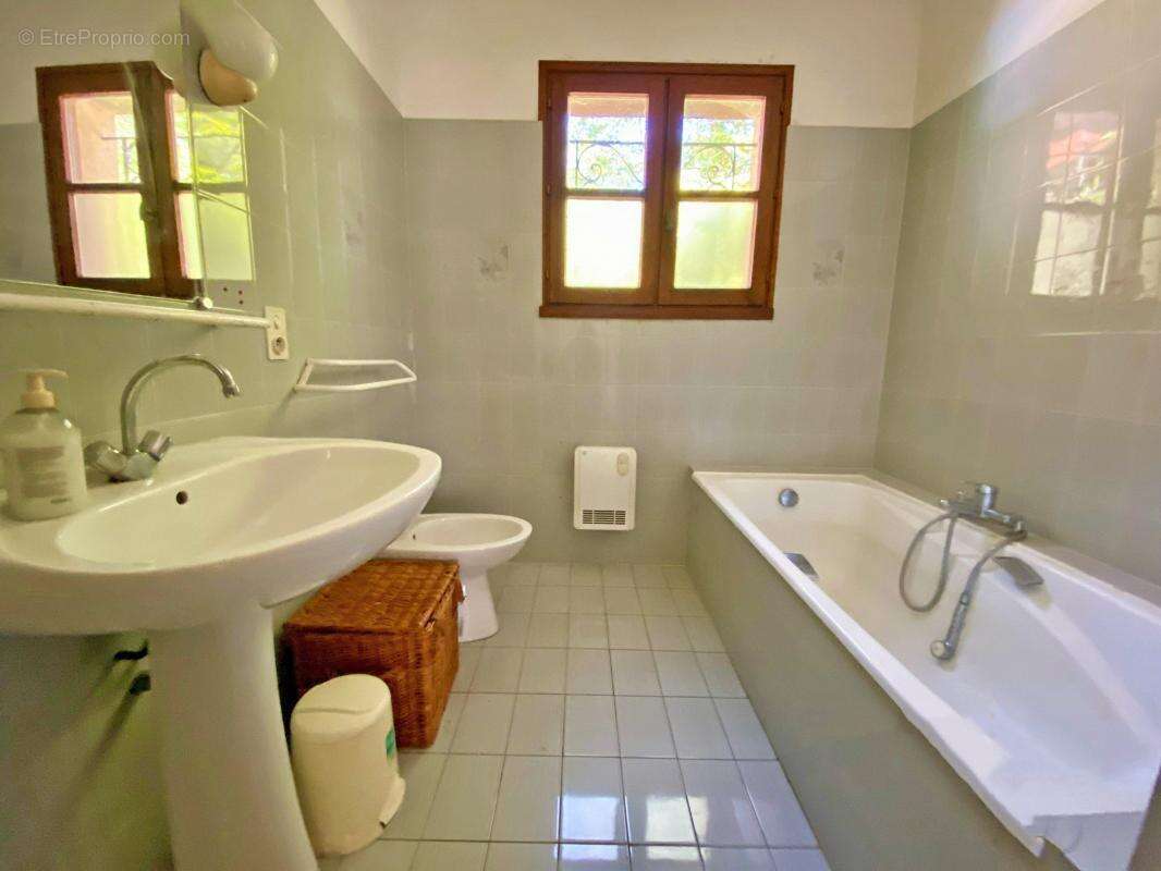 Maison à LE BUISSON-DE-CADOUIN