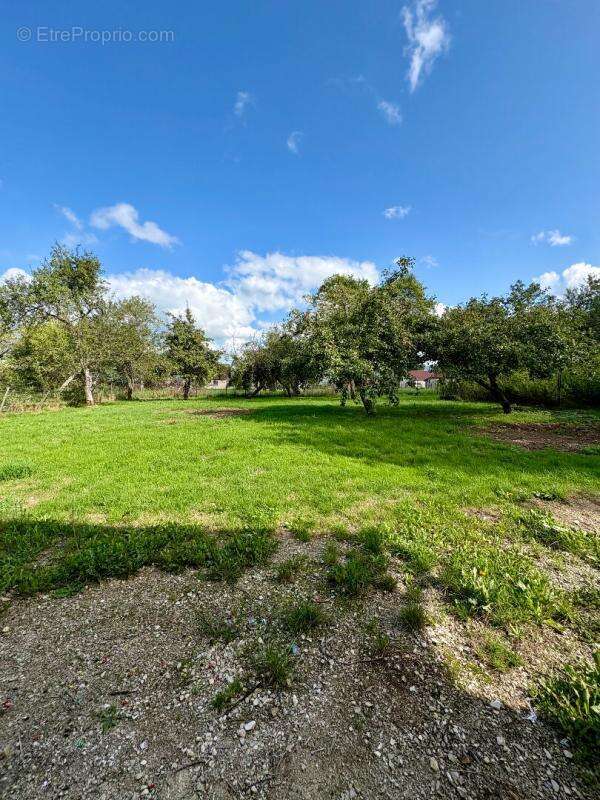 Maison à BELLEHERBE