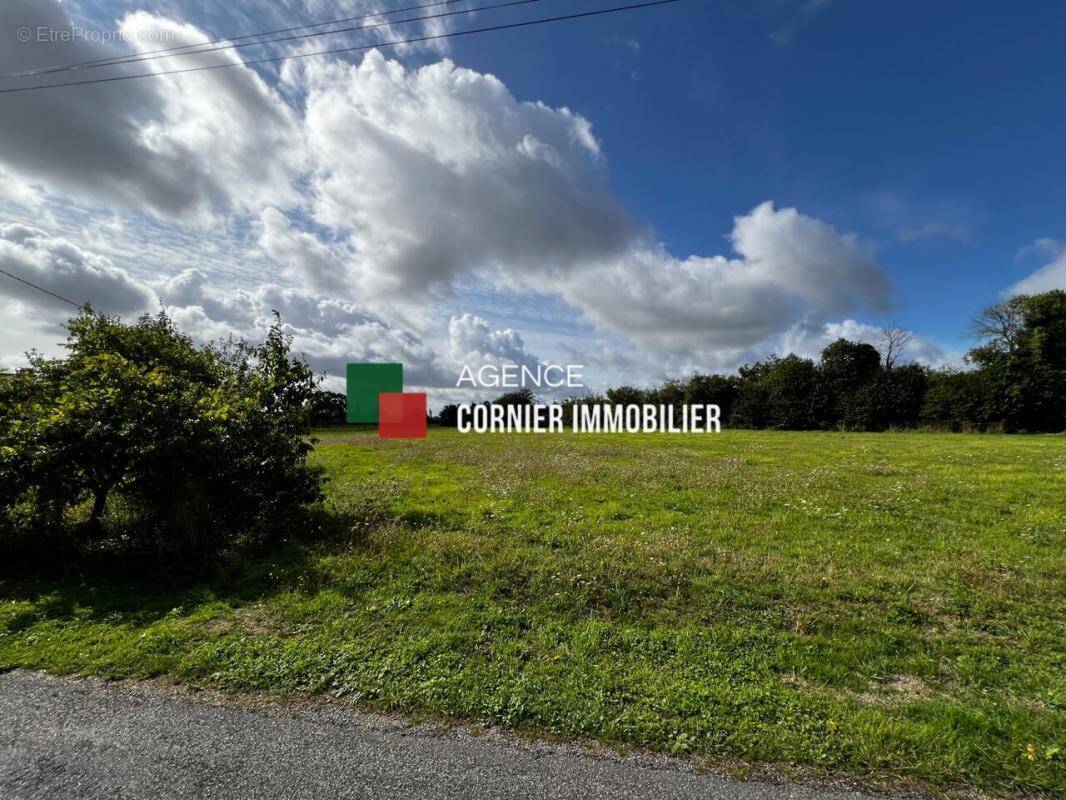 Terrain à LOUVIGNE-DE-BAIS