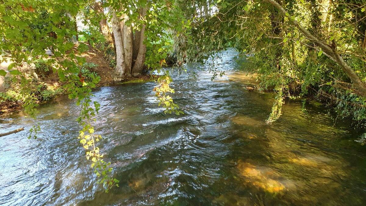 Terrain à TORCY-LE-PETIT
