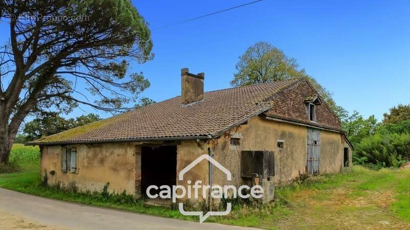 Maison à MOUSCARDES