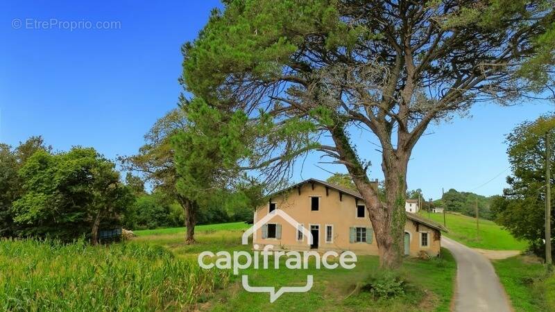 Maison à MOUSCARDES