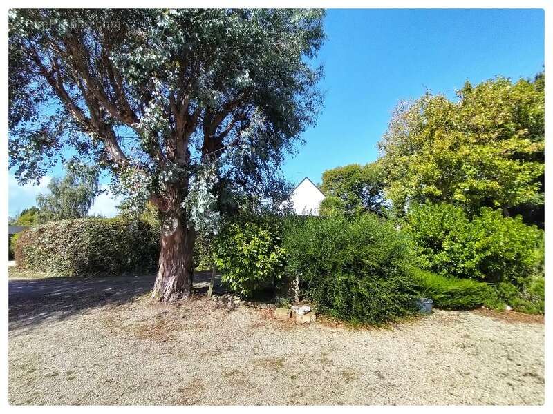 Maison à SAINT-PHILIBERT