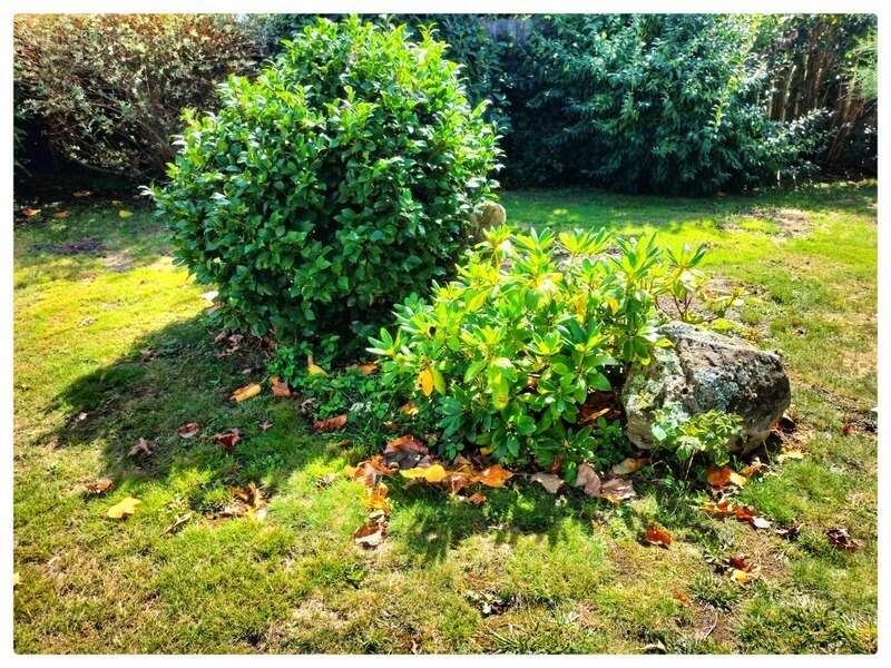 Maison à SAINT-PHILIBERT