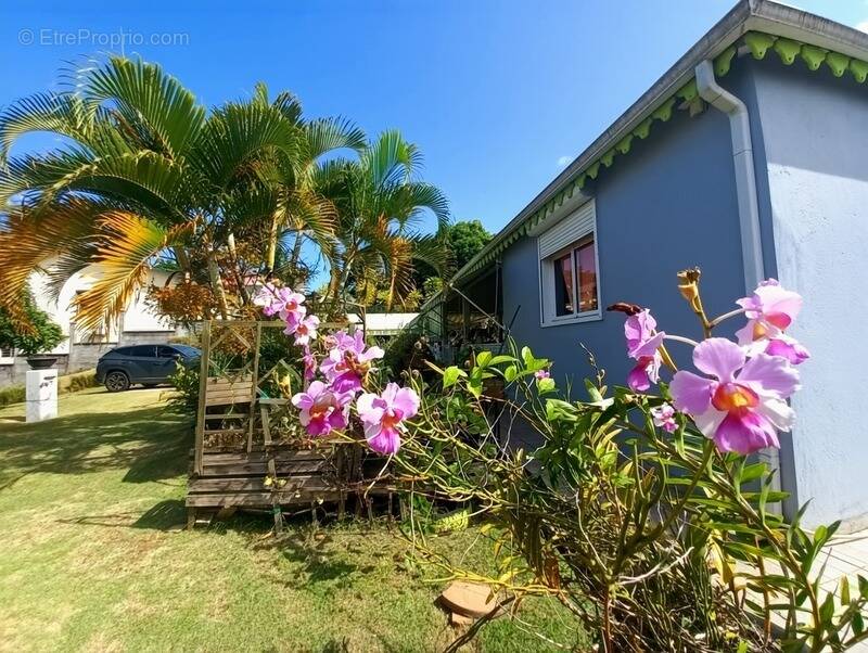 Maison à BAIE-MAHAULT