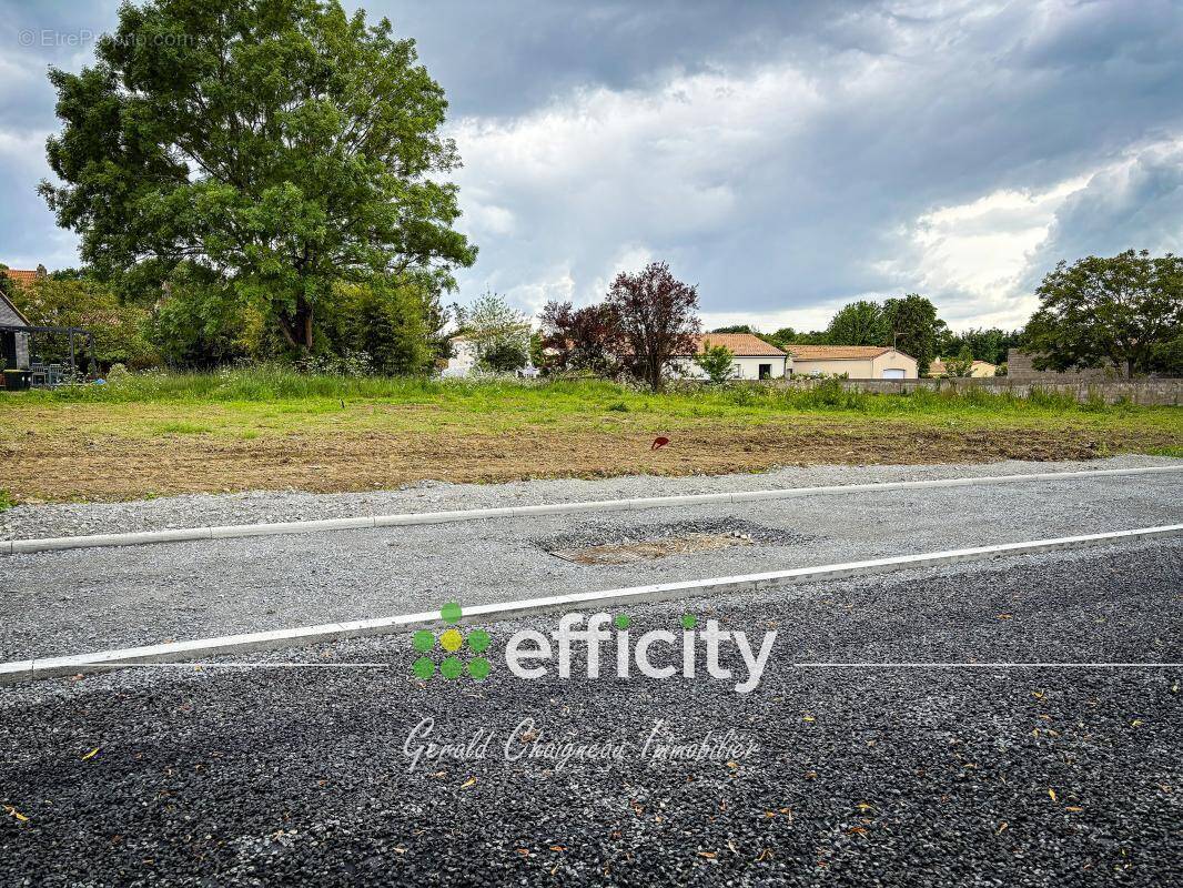 Terrain à SAINT-COLOMBAN