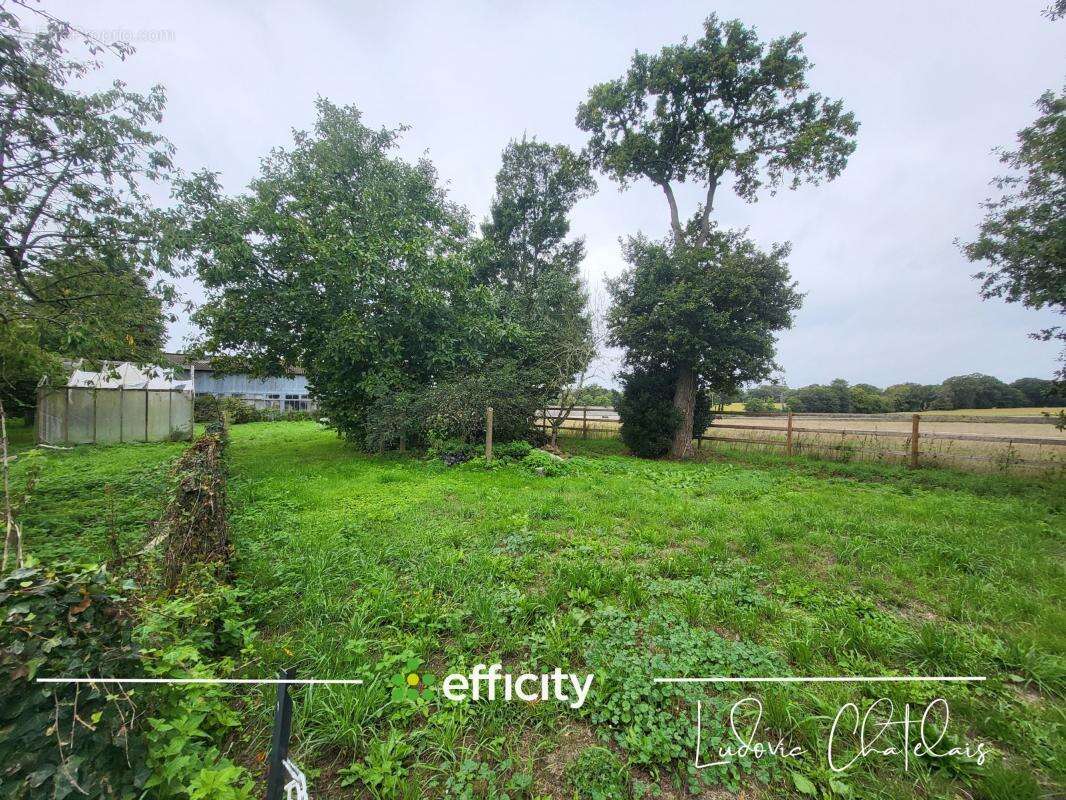 Appartement à BETTON