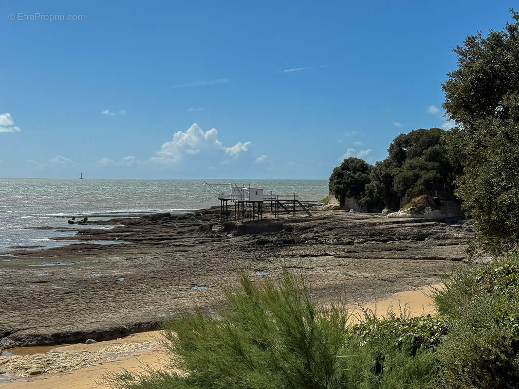 Appartement à SAINT-PALAIS-SUR-MER