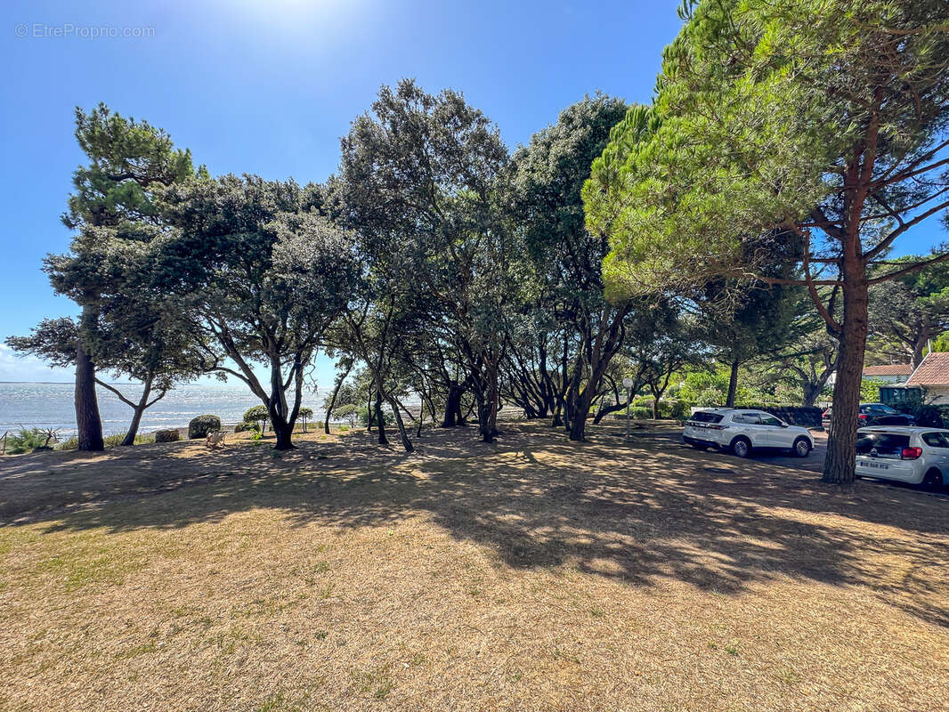 Appartement à SAINT-PALAIS-SUR-MER