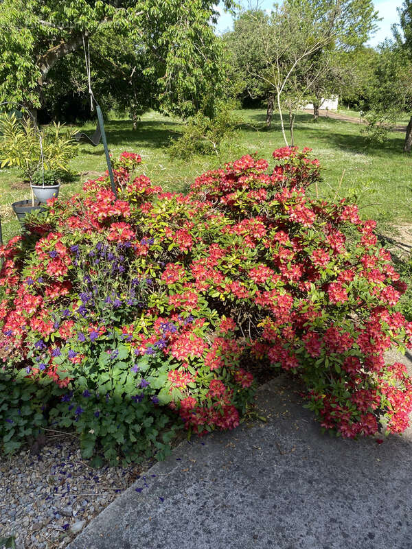 Maison à FORGES-LES-BAINS
