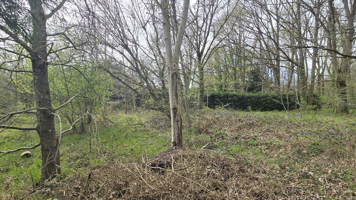 Maison à FORGES-LES-BAINS