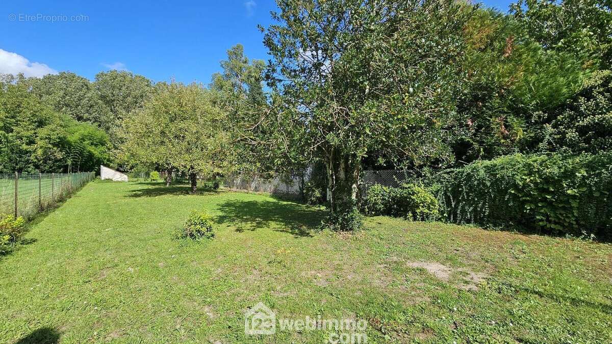 Voici ce terrain constructible de 781 m². - Terrain à MILLY-LA-FORET