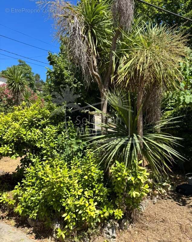 Maison à CHATEAUNEUF-GRASSE