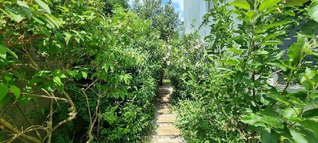 Maison à LE PERREUX-SUR-MARNE